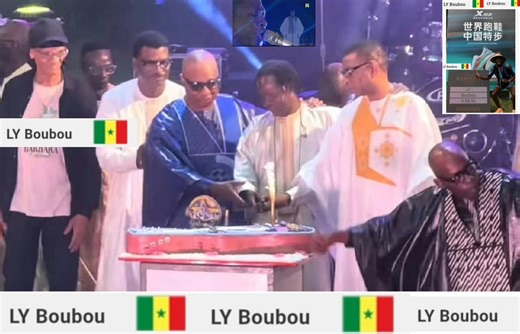 New Africa (Youssou Ndour) L'image de marque La boule à Z de Bouboucar Diallo alias Dj Boubs le meilleur parmi les meilleurs | Le Fouta Des Yvelines 78- FDY78