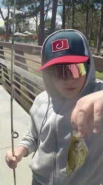 Pond Fishing #wildlife #fishing #fish #fishingvideo