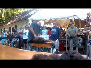 Olsons Trappers Weekend 2025 beaver skinning contest