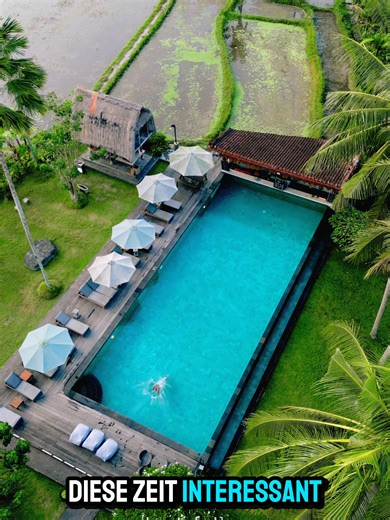 Die beste Reisezeit für Bali? 🇮🇩 Die Insel ist das ganze Jahr warm, aber je nach Monat ganz unterschiedlich. 🌤️ Mai bis Oktober: trockener, viel Sonne, angenehme Luft – ideal für Strände & Ausflüge 🌧️ November bis April: tropischer, mehr Regen und Luftfeuchtigkeit – dafür grüner und ruhiger Was mögt ihr lieber – Sonne☀️ oder tropisch grün? 🌴🌧️ 👉 Schaut jetzt bei ab-ins-blaue.de 🌍 vorbei und findet euren nächsten Urlaub ✨ #bali #bestereisezeit #fernreise #abinsblaue #urlaubsideen #indones