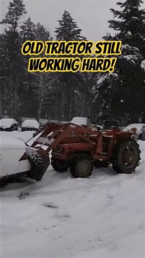 Old Massey Ferguson Tractor still putting in work