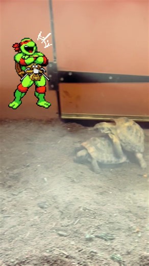 Mrs Amy Rose Thomas (@amyrosepixie)’s videos with The Bad Touch - Bloodhound Gang