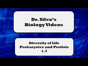 Diversity of Life (Prokaryotes and Protists) – 1.3 – Biol 189