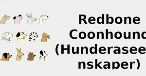 Redbone Coonhound (Hunderaseegenskaper) 🐶