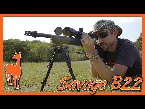 Savage B22 FV-SR Review! The all-duty precision rimfire rifle