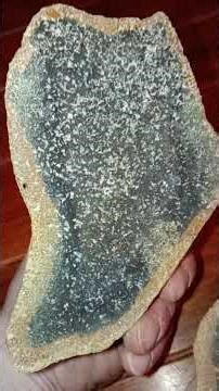 A Look Inside Some Mud Fossils