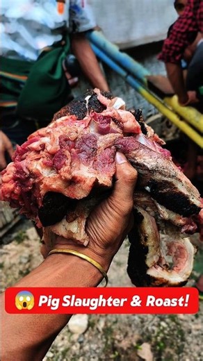 Pig Slaughter and Roast | Traditional Cooking Process #food #babi #viralshorts #porkmeat