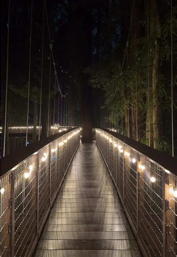 Zoo Lights is officially back in Eureka! And it’s one of the most magical ways to experience the holidays on the North Coast. Now in its third year, this nighttime walk through Sequoia Park Zoo features festive light displays, an illuminated Redwood Sky Walk, and the tallest living holiday tree in Humboldt County 😊 The star is a young coast redwood already over 175 feet tall, and still growing. The idea? Come back year after year and watch it grow alongside you. Zoo Lights runs nightly from Dec