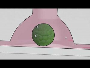 Akura™ Immune Flow Organ-on-Chip Platform Explainer Video