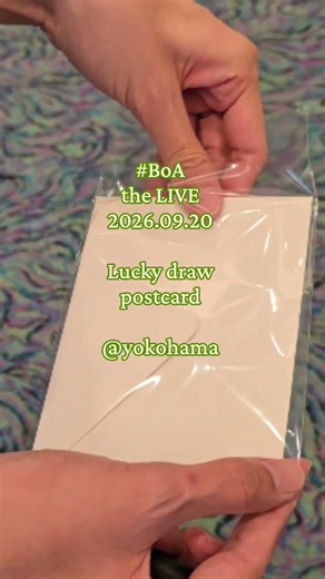 #boa the live 2026 #yokohama #shorts #0920