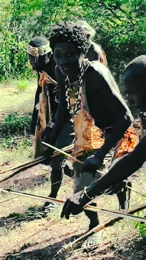 "Porcupine Escapes the Burrow… But Tribal Hunters Are Ready! 🏹🔥" #porcupine #escape #hadzabetribe