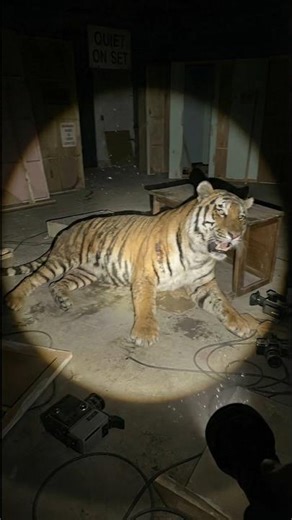 Dark room surprise #shorts #feedshorts