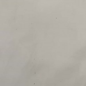 Lecture 2021-06-11 - Mathematics - Notes - Teachmint