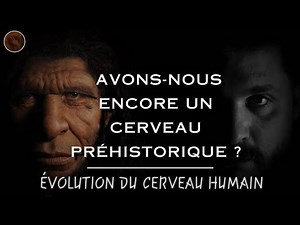 L’évolution du cerveau humain : de nos ancêtres à aujourd’hui...