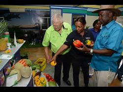 64th staging of the Denbigh Agricultural Show underway