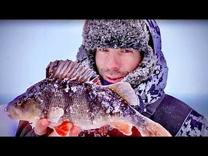 Ловля ОКУНЯ в лютую пургу на Балансиры.Как чистить и готовить ОКУНЕЙ!? Рыбинское вдхр