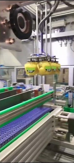 Full Automatic Packaging Line canned fruit Tin Pick up and Place Bottle Case Packer Packing Machine