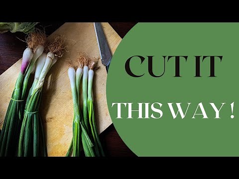 Chef on How to Cut Spring Onions for Noodles