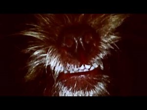 cujo 2 trailer