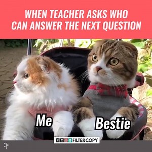 It's time to go underground, guys! | FilterCopy