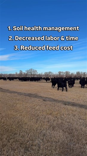 3 of our most important drivers for our feeding strategy. Stay tuned for a deep dive into this! #ranching #wyomingagriculture #workingranch | Sims Cattle Company