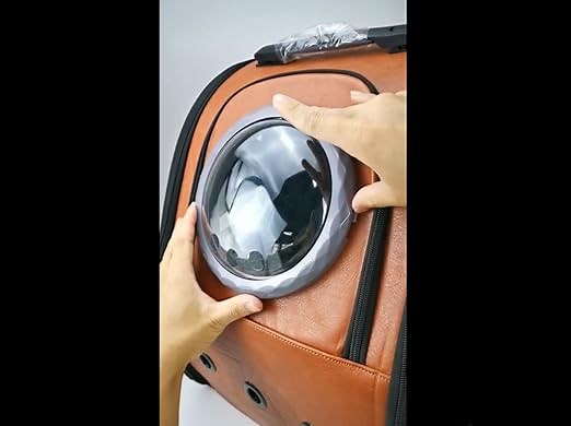 How to interchange the mesh and plastic bubble?