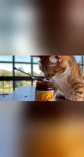 Vegemite Vitamins Explained