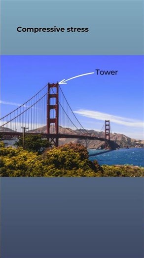 Tensile and compressive stresses in a suspension bridge #stress #som #stressstraincurve #shorts