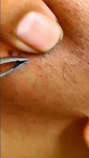 Plucked Perfection Grooming Beyond the Surface5