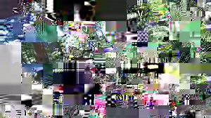 32K views · 312 reactions | This looks like SUCH a fun trail at Neuchâtel! Credit: Live The Dream Tour | Active Traveller Magazine | Facebook