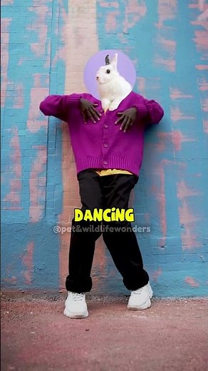 What’s a Rabbit Binky? 🐇💨 Cutest Happy Dance Explained!