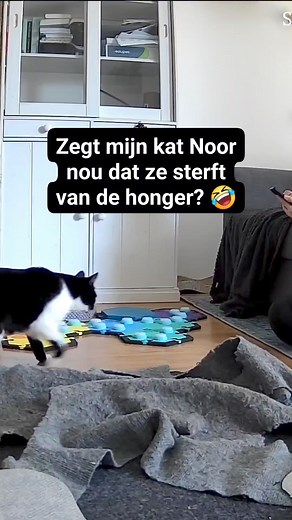 142K views · 480 reactions | AU + ETEN = honger? Klinkt logisch Noor  Dit weekend 20% korting @FluentPet met code ChattyPets884 https://fluent.pet/?aff=884 + gratis verzending bij een bestelling van minimaal €100 (ex btw) (beperkte voorraad!) #fluentpetbuttons #fluentpet #talkingpet #talkingcat #praatknoppen | De Kattentrainer | Facebook