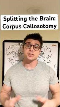 Corpus callosotomy