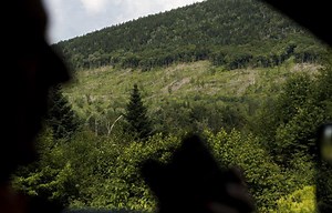 Amazon is spending $10 million to expand forests and capture carbon