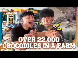 Exploring The Last Crocodile Farm In Singapore | Before After