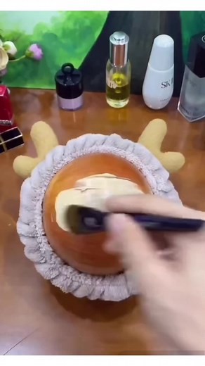 Onion Makeup Tutorial Funny Meme