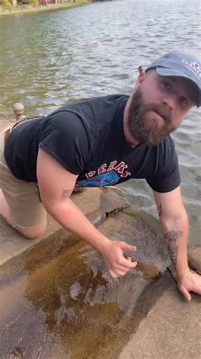 3.2K views | #Bassmaster #Fish #fisherman | Billy Roberts | Facebook