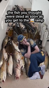 2.5K views · 138 reactions | Fish out of water!  . . . . . . #flopping #olympics #breakdancing #trend #funny #follow #like #comment #raygunn #fishing #magikarp | AdVenture Bro | Facebook