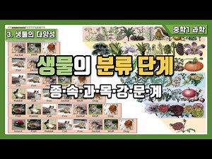 [중1 과학] 2. 생물의 구성과 다양성 - 생물 분류 단계