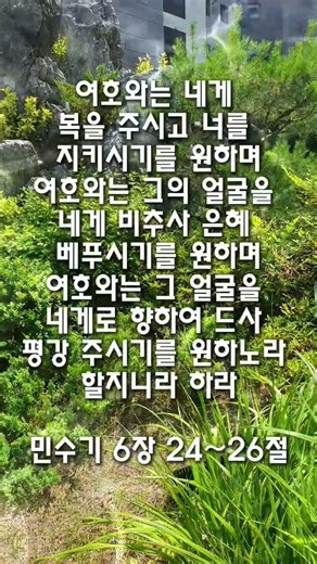 민수기 6장24~26절 말씀 여호와는 네게 복을 주시고 너를 지키시기를 원하며25. 여호와는 그의 얼굴을 네게 비추사 은혜 베푸시기를 원하며26. 여호와는 그 얼굴을 네게로 향하여