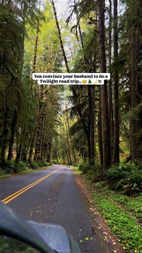 Henriett✨ | travel & road trips on Instagram: "The most cinematic road trip for Twilight fans 🌲🌧️⬇️ Follow @vh_travelwithme for detailed road trip itineraries, maps & travel tips 💛 Comment “PNW’ for my preplanned Google Map Guide! 🚗 7-Day Twilight Movie Locations Road Trip Day 1: Portland → Columbia River Gorge 📍 Carver Café (Twilight filming location) 📍 Multnomah Falls 📍 Latourell Falls 📍 Crown Point / Vista House 📍 Overnight near Portland / Gorge area Day 2: Silver Falls State Park → 