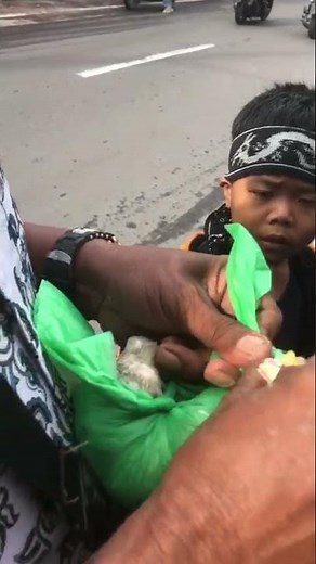 Tutorial Bungkus Merpati di Lombok