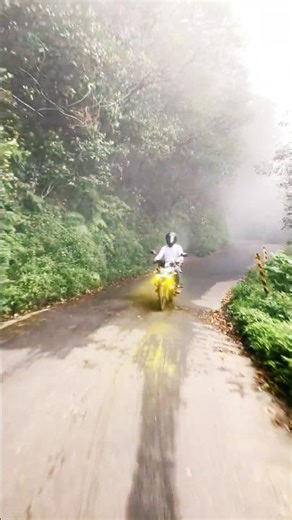 Pitawalapathana Road Reverston Mathale #travel #srilankatravel #nature