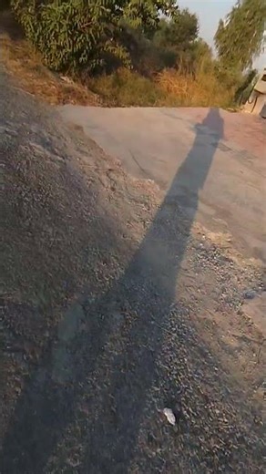 "Unlock the Secrets of Breathtaking Gardens: Top 10 Horticulture Tips You NEED to Know!"