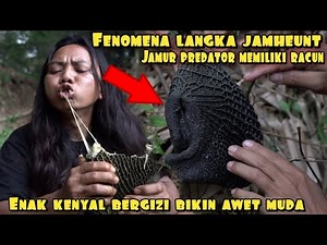 PENOMENA LANGKA BERBURU DAN MEMASAK JAMHEUN