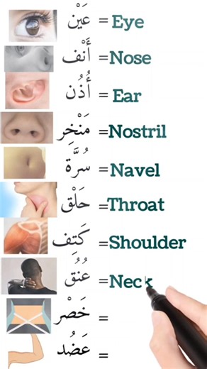 ALL the Arabic Basics You Need - Improve your Arabic