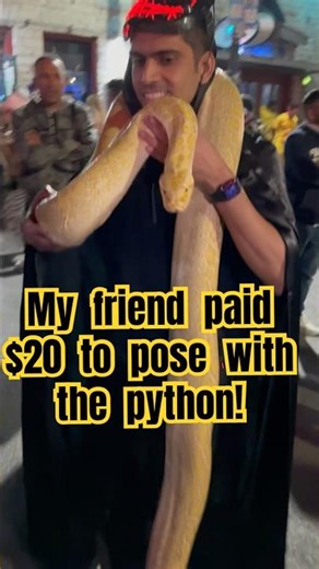 $20 to pose with Mr.Python🐍! #halloween #python #austin #fun #shortvideo