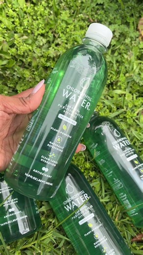The Benefits of Drinking Chlorophyll Daily #HealthyHabits #WellnessTips