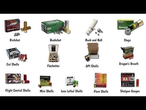 Every Type Of Shotgun Shell Explained