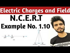 Physics N.C.E.R.T example 1.10 class 12th | electric charges and fields examples solution |in long